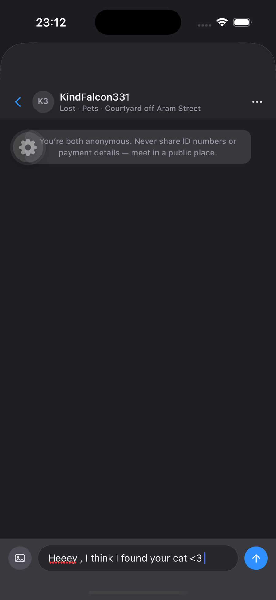 An anonymous chat in BACK 2U about a found cat